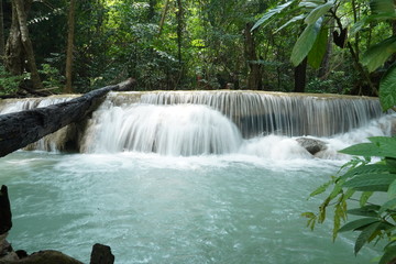 waterfall in forest