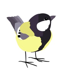 Bird titmouse, color vector clip art