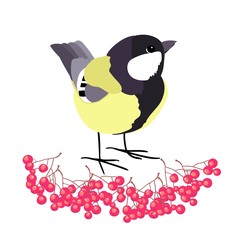 Bird tit and bunches of viburnum, winter set of drawings, vector
