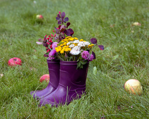 Bouquet of clover and wild flowers in rubber boots. Autumn appeal. Walking in the park.