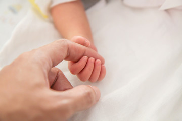 baby hand holding adult finger