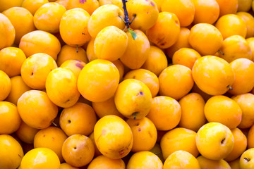 Sweet cherry background. Close-up of a beautiful ripe sweet cherry.