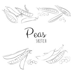 Hand drawn composition with peas.