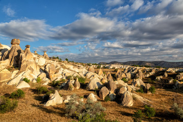 Fototapeta premium Symbol of Cappadocia - Fairy Chimney or Multihead stone mushrooms in Pasabag Valley, Anatolia,