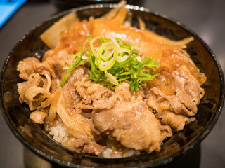 Fried pork on rice with green onion, Japanese food