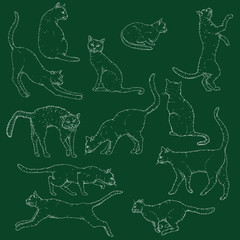 Vector Set of Chalk Sketch Cats illustration. Hand Drawn Feline Poses.