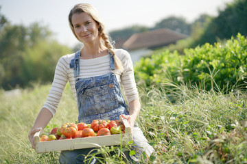 Smiling farmer woman holding box of organic tomatoes