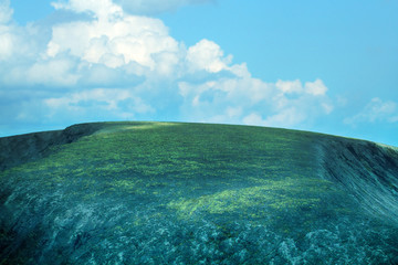 Mountain deserts and semi-deserts
