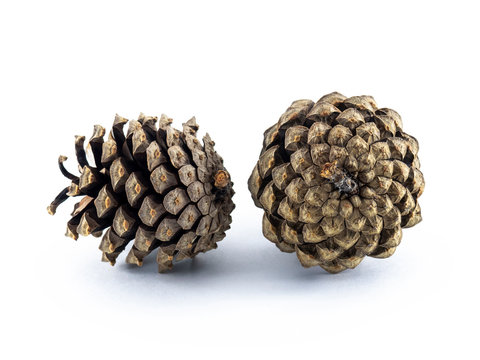 Two brown pine cones. Material for Christmas tree decoration