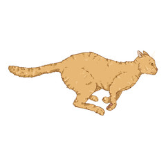 Running Cat. Vector Cartoon Feline Illustration