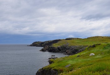 Fototapeta na wymiar Trinity Bay coastline landscape, along Lance Cove road, Bonavista Peninsula ; Newfoundland and Labrador Canada