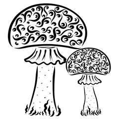 Two fly agarics with a pattern together