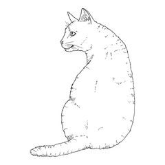 Sitting Cat. Vector Sketch Feline Illustration