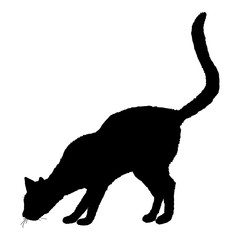 Sniffing Cat SIlhouette. Vector Black Feline Logo.
