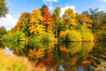 Autumn foliage in Pavlovsky park, Pavlovsk, St. Petersburg, Russia