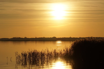 Sonnenuntergang, Schilf, Wustrow. Abenddämmerung