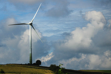 wind turbines in the field