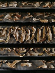 Champignons blancs s&eacute;ch&eacute;s 