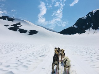 Huskies dragging Sledge