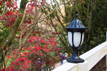 The beautiful Japanese lights in beautiful maple park.