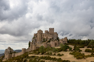 Fototapeta na wymiar castle on a mountain