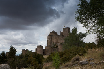 Fototapeta premium castle on a mountain