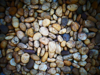 pebble stone nature background