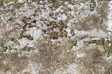 Texture of old gray concrete wall for background