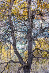 Allphotokz Kok Zhailau 20150927 5537 D810