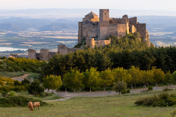 castle on a mountain