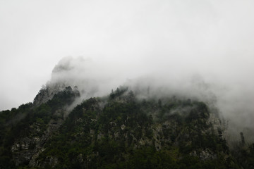 Clouds rising from mountain forest