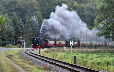Fototapeta na wymiar Harzer Schmalspurbahn 