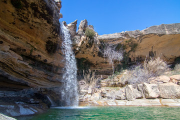 river in natural environment