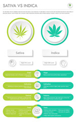 Sativa vs Indica horizontal vertical infographic illustration about cannabis as herbal alternative medicine and chemical therapy, healthcare and medical science vector.