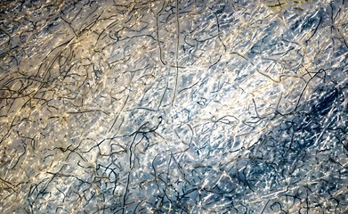 macro photography of blue cotton fibers