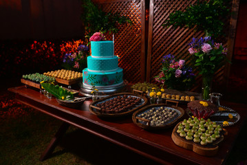 Obraz na płótnie Canvas blue birthday cake, chocolate truffles, brigadeiro, chocolate sprinkles, chocolate candy, condensed milk candy balls, candy balls