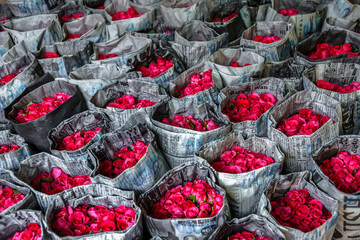 Bangkok, Thailand, Blossom, Bouquet, Bright