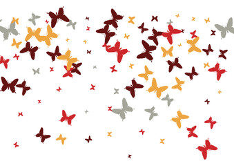 Festive butterfly confetti background. Frame vector pattern texture for holiday, postcard, poster, carnival, banner, birthday and children's parties. Butterfly cover mock-up. Wedding butterfly layout