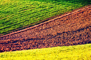 Green, yellow and brown agriculture field rows in spring time closeup. Rural background