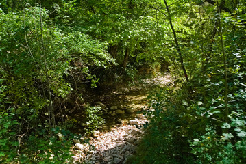 Vista dal sentiero 208 dal villaggio di Baciardi all'eremo di Morimondo