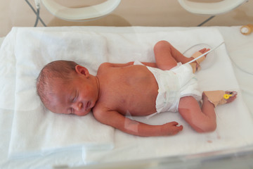 Premature newborn baby in the hospital incubator. Neonatal intensive care unit - obrazy, fototapety, plakaty