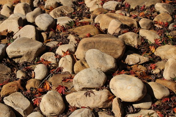 Autumn River Rocks 2