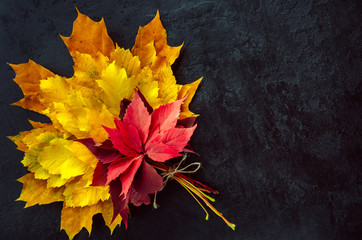 Autumn composition. Bouquet of bright colorful autumn leaves on a black background. Autumn cocept. Hello October. Copy space