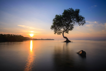 Sunrise at Pakhad , Chumporn, Thailand.