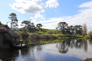 水面　反射　空　木