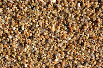 Beach Sand Texture Background, selective focus. Abstract sand background. sand surface for summer background. Fine sand texture. Sandstone structure. Tropical backdrop.