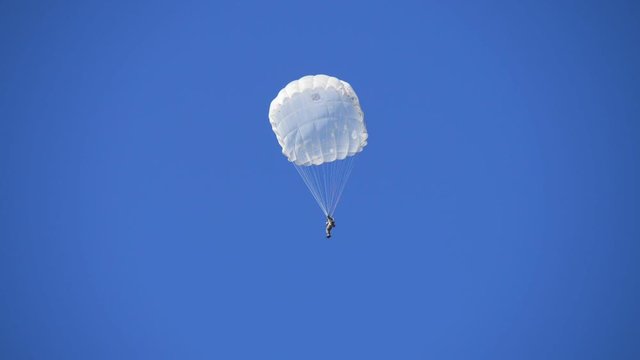 One courageous paratrooper flying on white round parachutes in a blue sky