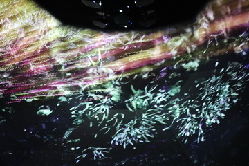 デジタルアート