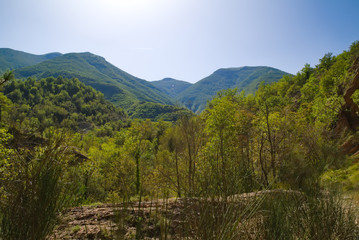 Obraz premium Vista dal sentiero 208 dal villaggio di Baciardi all'eremo di Morimondo