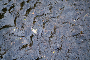 Eine Schnapsflasche wurde achtlos in den Fluss geworfen...